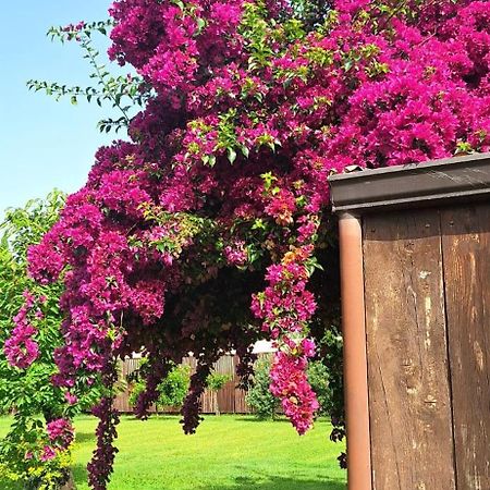 Villa Lucilla Altavilla Silentina エクステリア 写真
