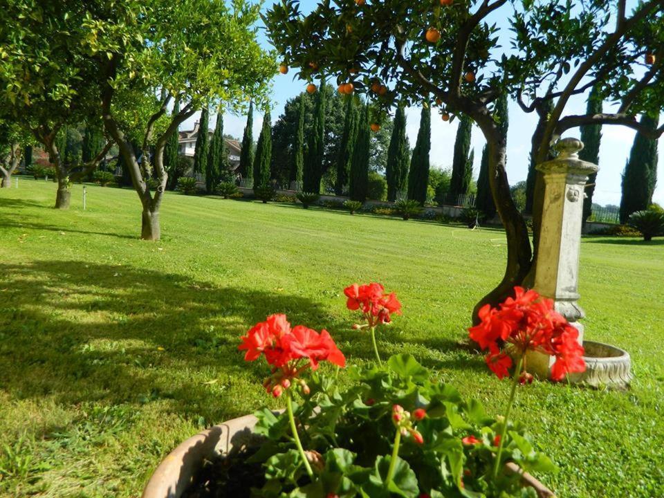 Villa Lucilla Altavilla Silentina エクステリア 写真