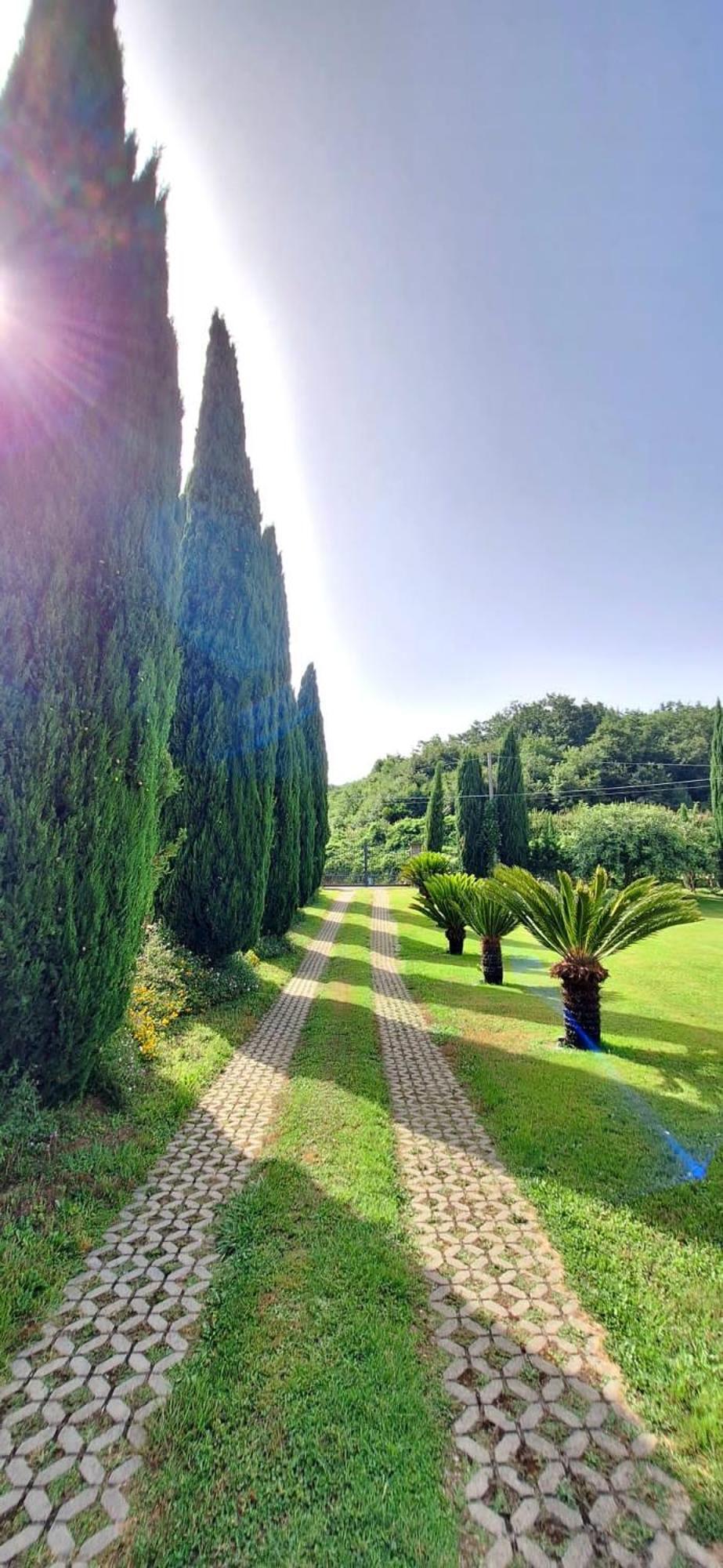 Villa Lucilla Altavilla Silentina エクステリア 写真