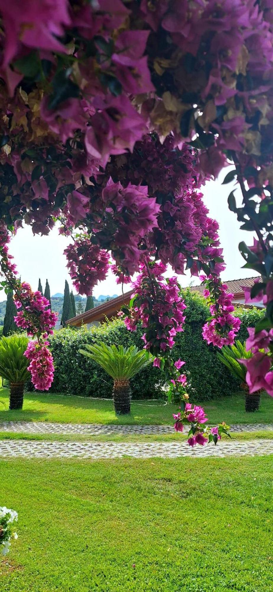 Villa Lucilla Altavilla Silentina エクステリア 写真