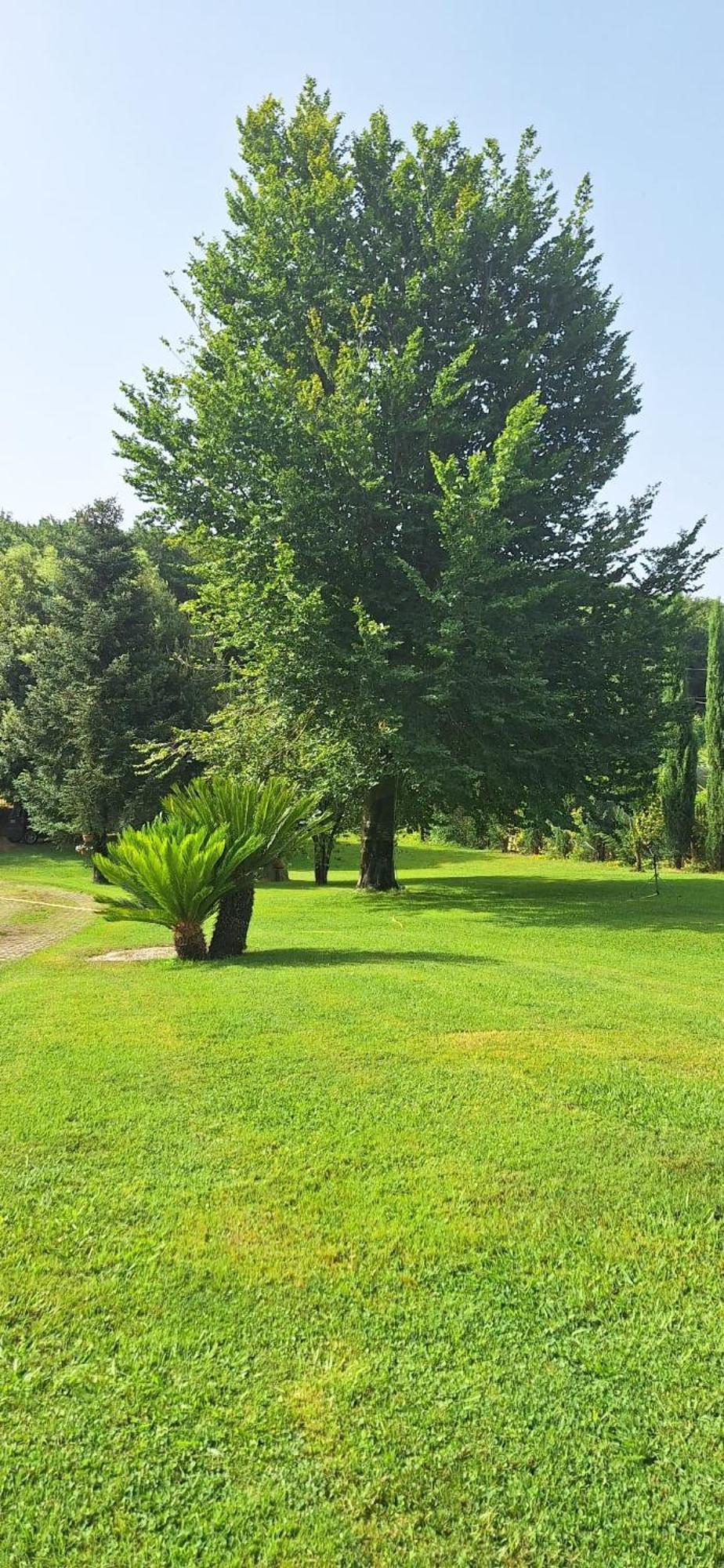 Villa Lucilla Altavilla Silentina エクステリア 写真